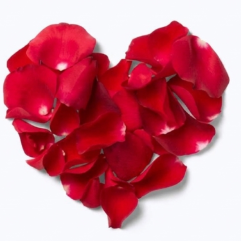 Group logo of Find Love